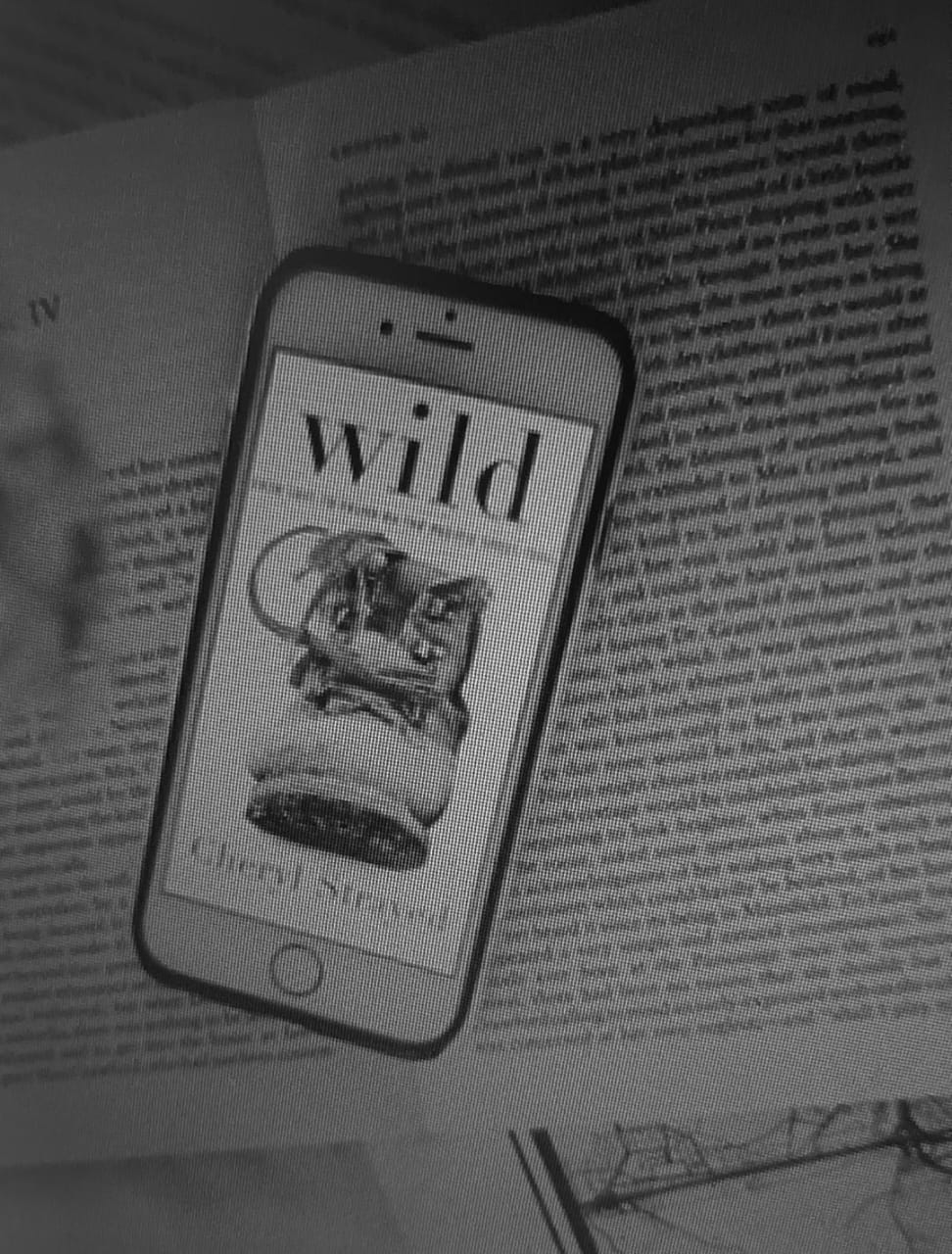 Wild: From Lost to Found on the Pacific Crest Trail by Cheryl Strayed