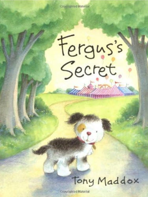 Fergus's Secret by Tony Maddox - old hardcover - eLocalshop