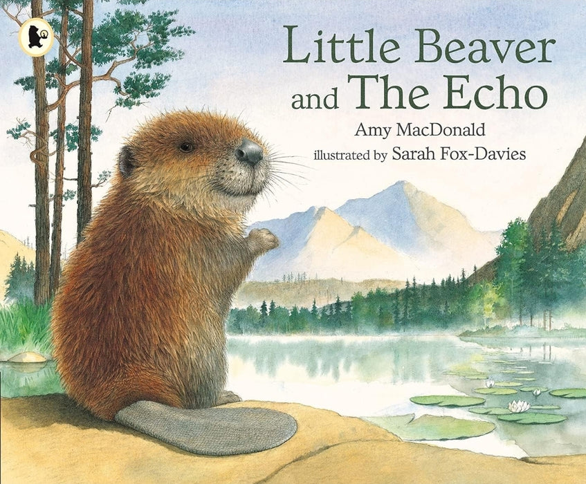 Little Beaver and the Echo by Amy MacDonald - old paperback